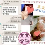 台北定點茶-文文