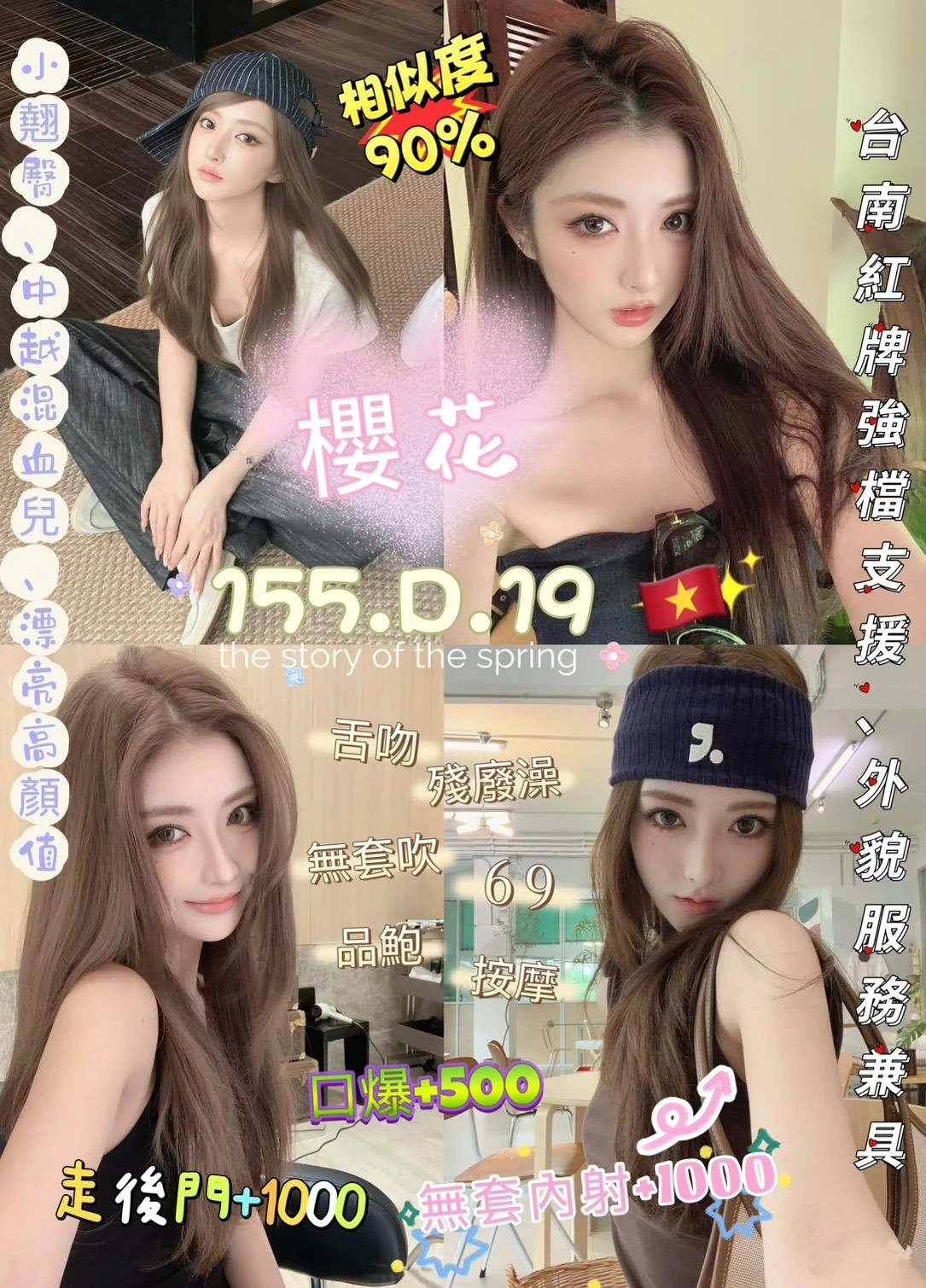 新北定點茶-櫻花 新北定點茶-櫻花