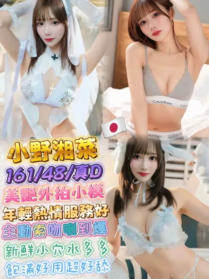 台北外送茶-小野湘菜