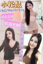 雲林定點茶-小松鼠